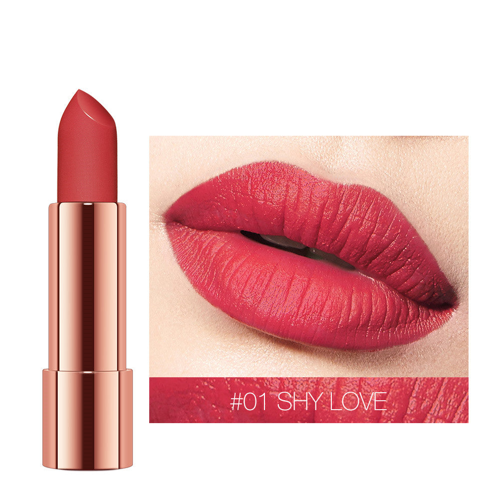 Silk satin soft mist skin lipstick Matte moisturizing lipstick