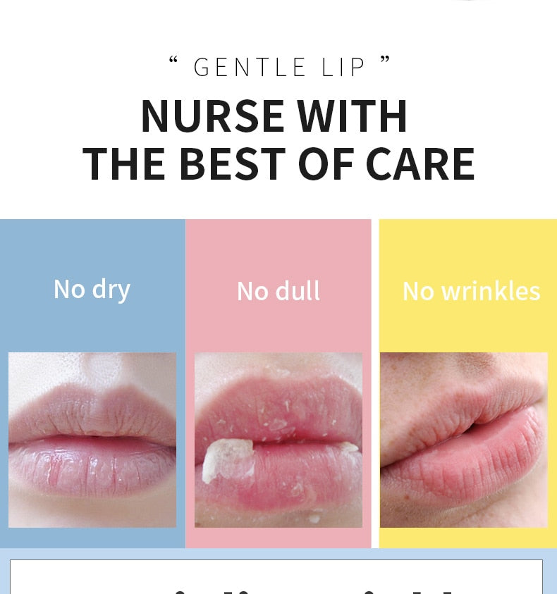 3.5g Shea Butter Lip Scrub Makeup Nourishing Moisturizing Lipbalm Anti Aging Exfoliating Full Lip Balm Remove Dead Skin Repair - Image 3