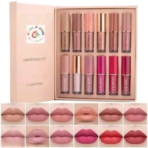 12 Pc Waterproof Liquid Matte Lipstick Set